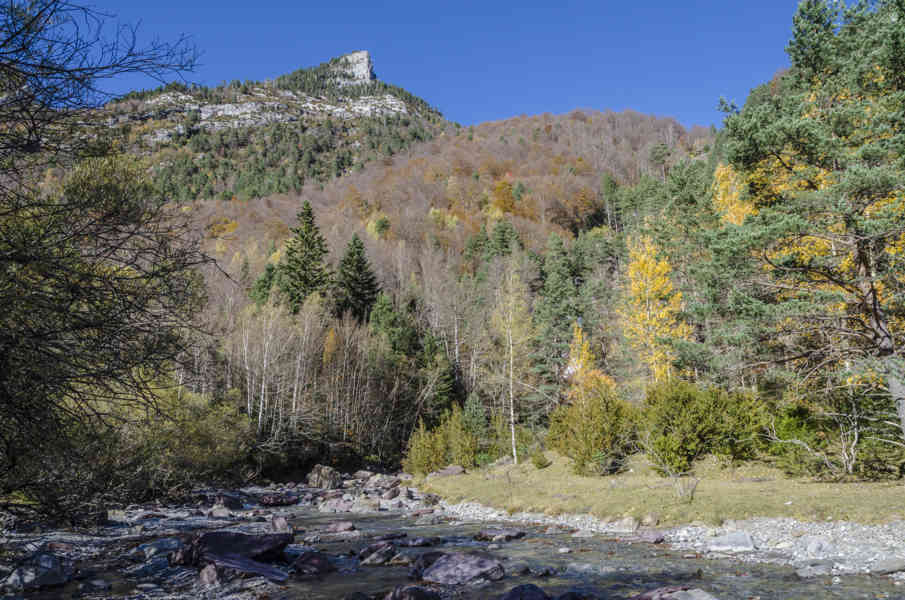 Huesca - parque nacional de Ordesa y Monte Perdido - valle de Pineta 15 - rio Cinca.jpg
